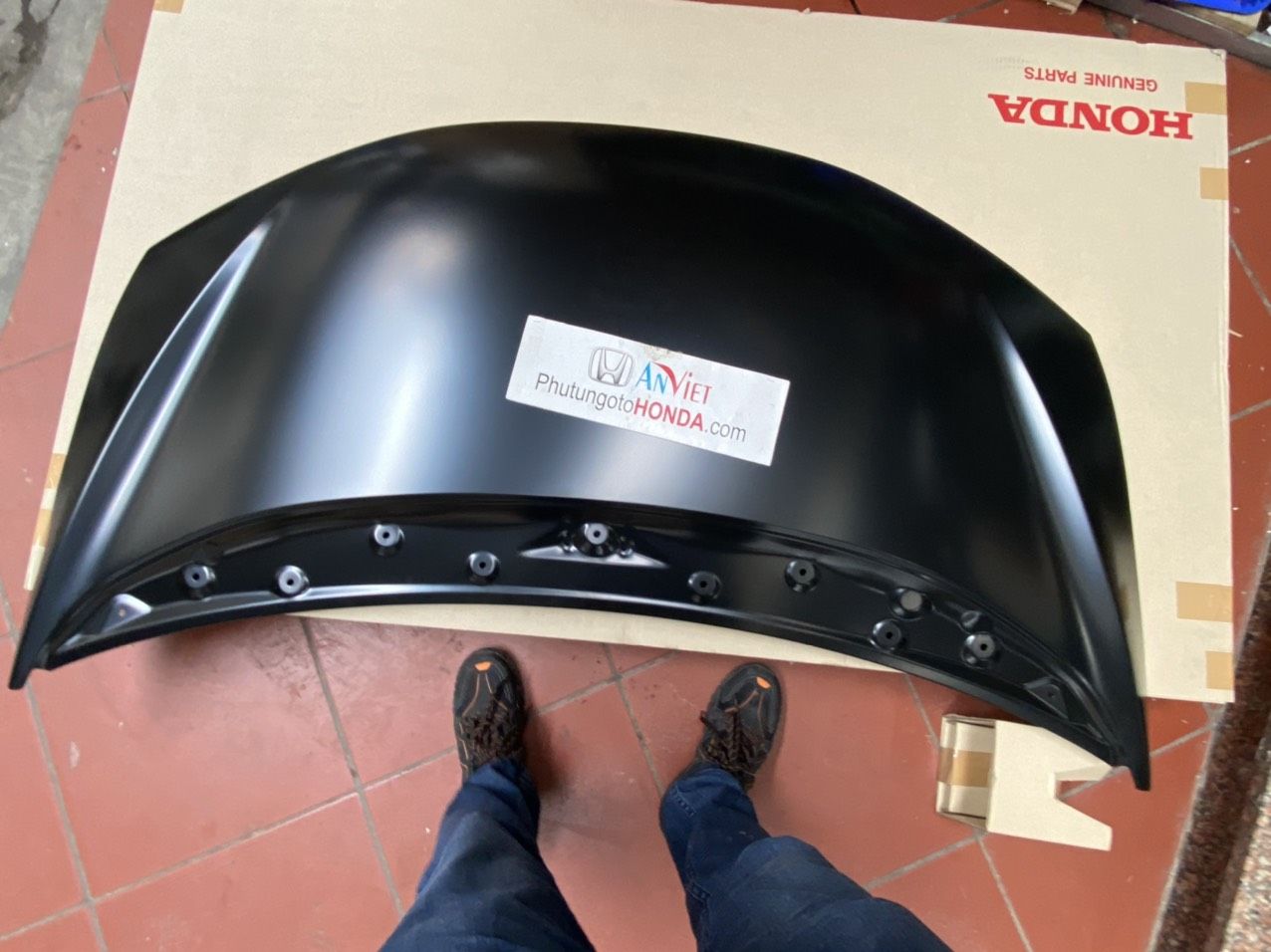 Nắp Capo xe Honda JAZZ