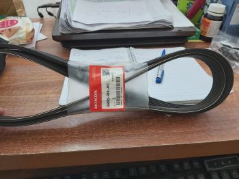 Dây curoa trợ lực lái xe Honda Accord